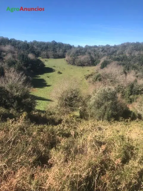 Venta  de Finca rústica con cabaña para rehabilitar en Cantabria