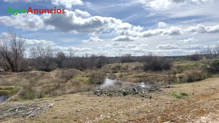 Venta  de Terreno de secano en Valladolid