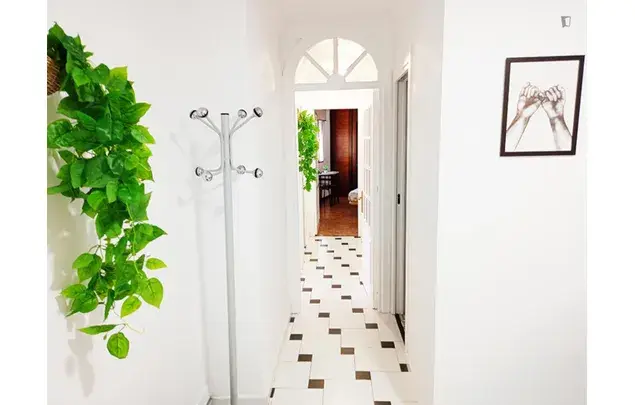 Alquiler Apartamento 4 Dormitorios Málaga Centro