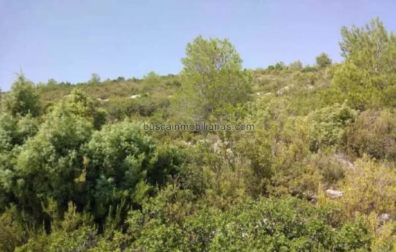 Parcela Rustica en Venta Requena 470800m2