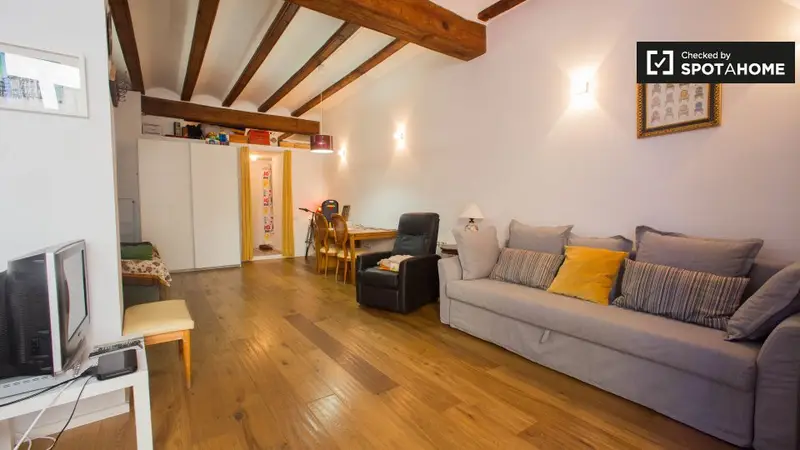 Apartamento 1 Dormitorio Valencia Centro Historico