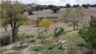 Finca rústica en venta en Urbanización Camino del Castaño