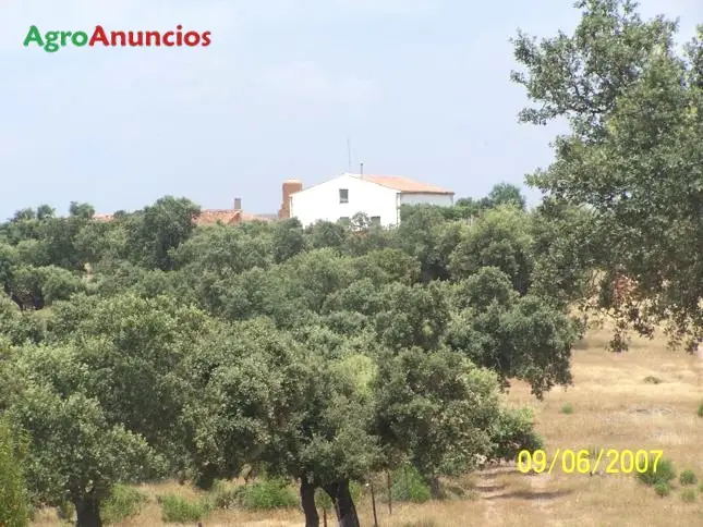 Venta Dehesa 278 Hectareas Caceres Ganaderia Caza