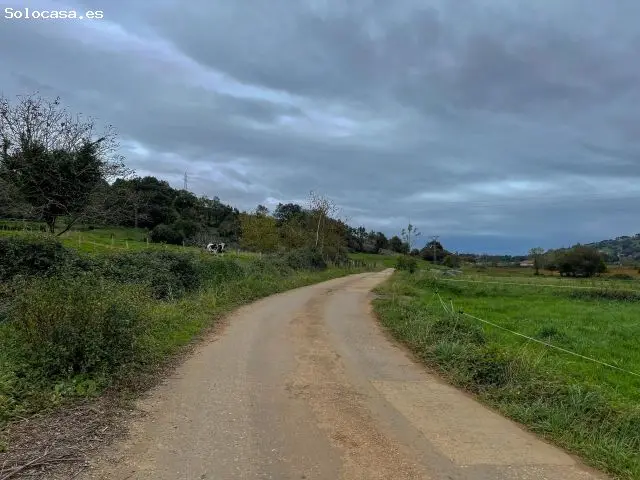Terreno en Carasa para construir tu casa ideal