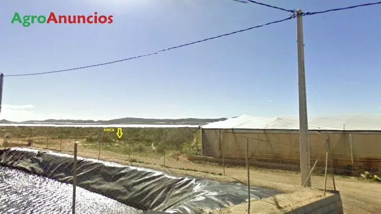 Venta  de Finca para invernaderos en Almería