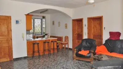 Finca con 350 Palmeras Phoenix Canadiense y 2 Casas cerca de la Playa