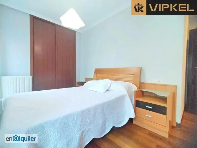 Alquiler Piso 2 Habitaciones Conxo Santiago