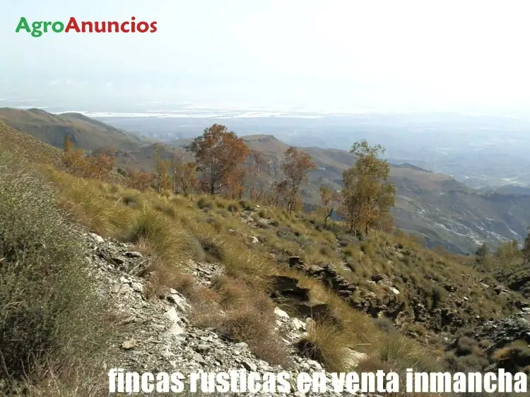 Venta  de Finca de caza con casa en Almería