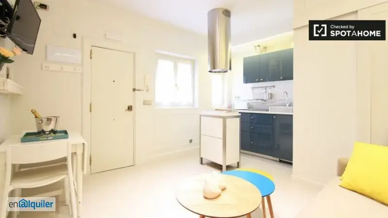 Apartamento 1 Dormitorio Universidad Madrid