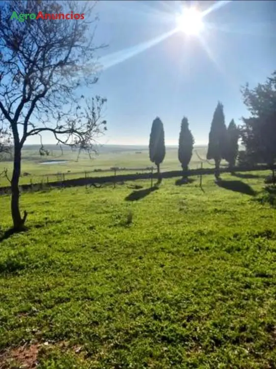 Compra  de Finca rústica en Badajoz