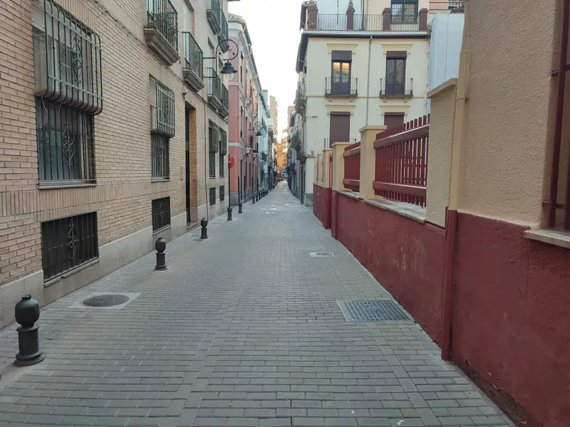 Alquiler Piso Centro Granada Paseo del Salon 2 Dormitorios