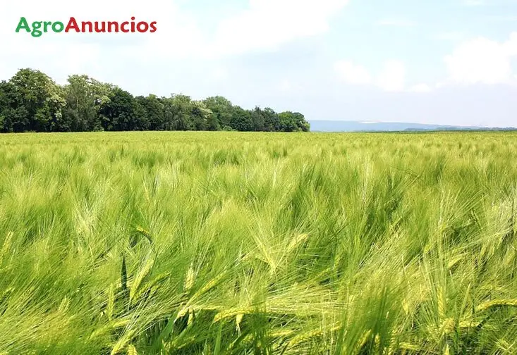 Demanda  de Fincas de riego en Huesca