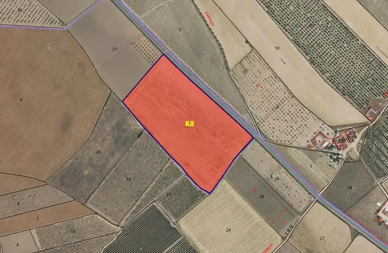 Terreno Agricola en Venta Yecla Murcia