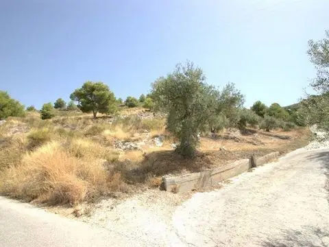 Terreno en Venta Canillas de Albaida: Gran Parcela con Vistas al Mar