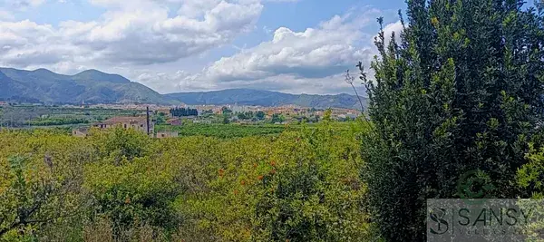 Terreno en Pego 102ha con Caseta y Naranjos