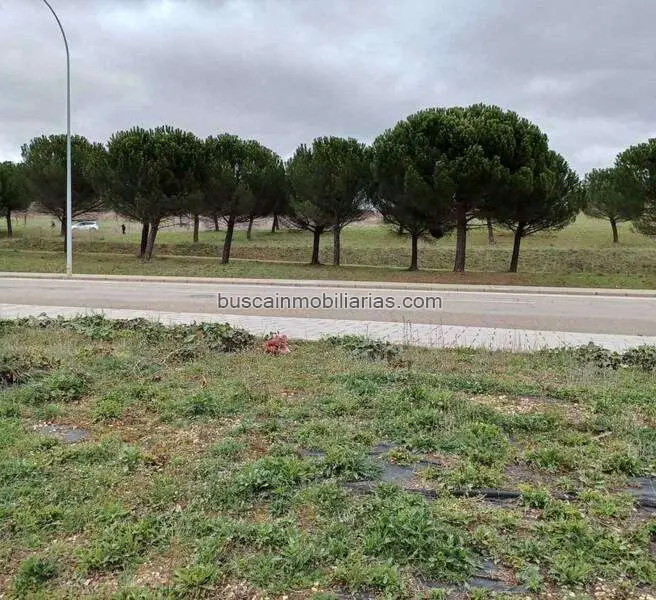 Parcela Rústica en León: 472 Viviendas