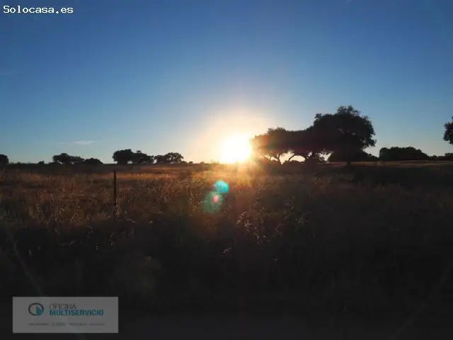 Finca Ganadera en Venta cerca Navalmoral de la Mata y Plasencia