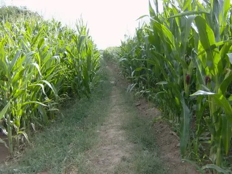 Venta Finca 1500 Has Extremadura