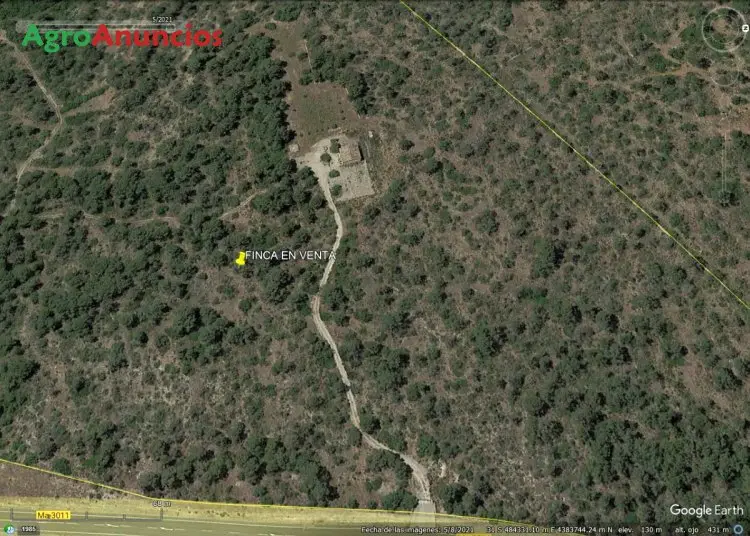 Venta  de Finca forestal para recreo en Baleares