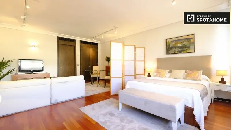 Apartamento en Madrid 1 Dormitorio Spotahome