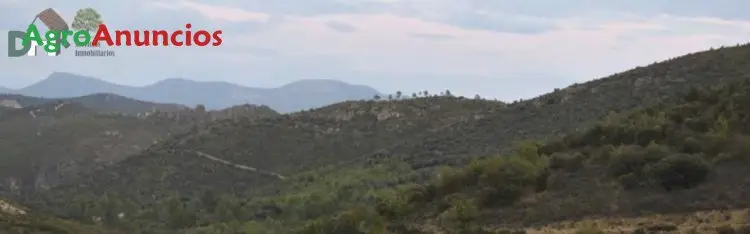 Venta  de Finca de caza mayor en Cuenca