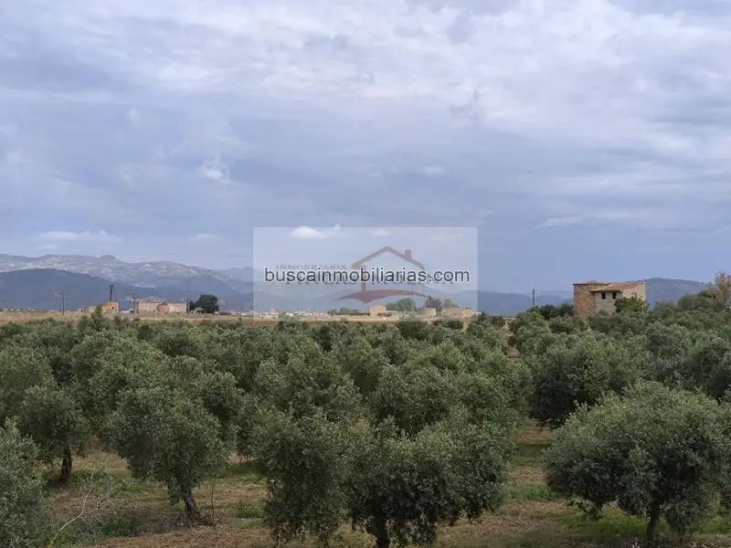 Finca Rustica Urbanizable Sa Pobla