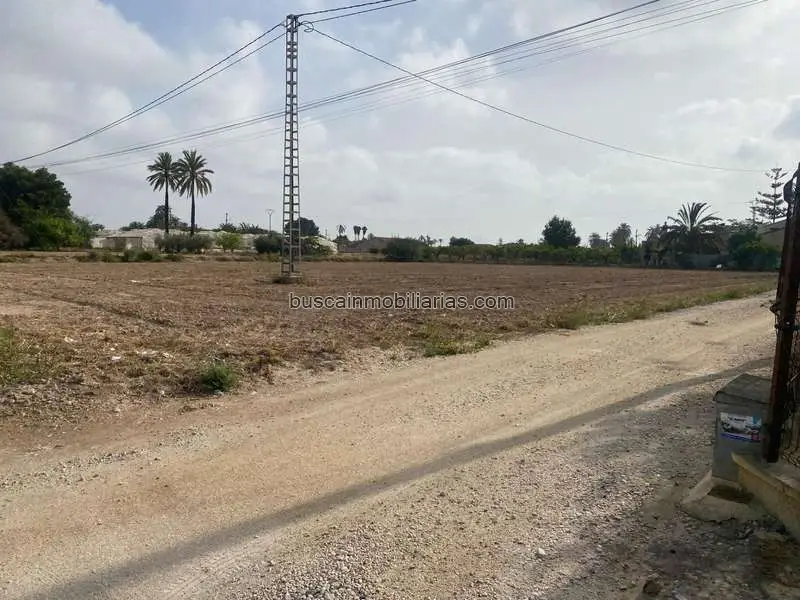Parcela Rustica en Venta Elche La Hoya 3626m2