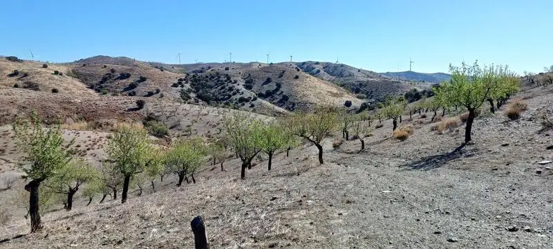 Villa en Venta Los Torrentes Almeria