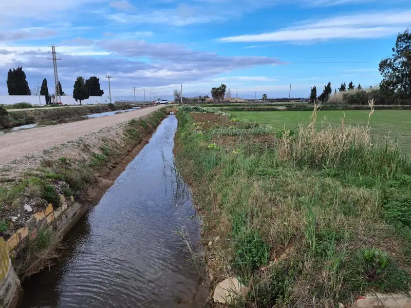 Finca Rustica en Venta Delta del Ebro