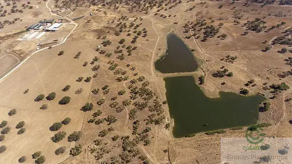 Finca 150 Hectareas Elvas Portugal Agricola Ganadera Turistico