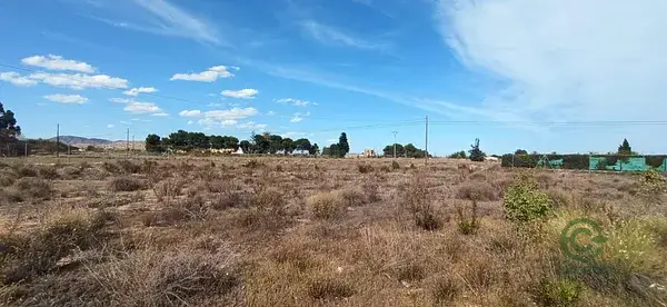 Terreno Rustico en Venta Torrellano 4044m2