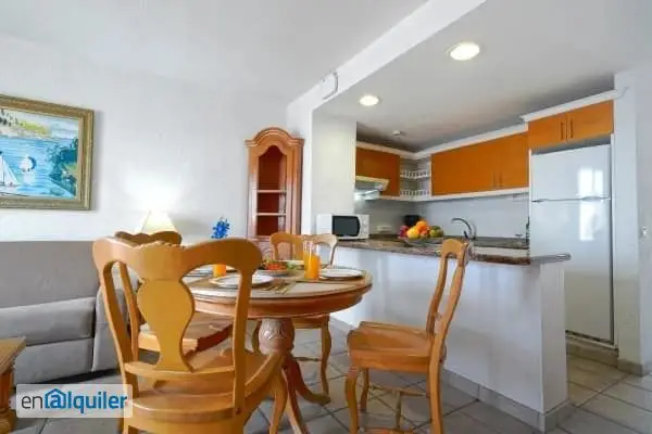 Furnished apartment for rent Oasis del sur