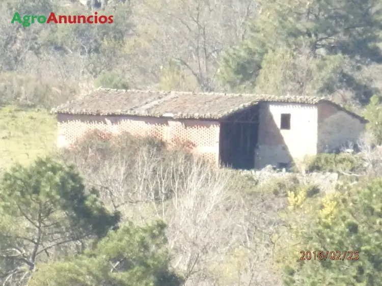 Venta  de Finca de recreo en Cáceres