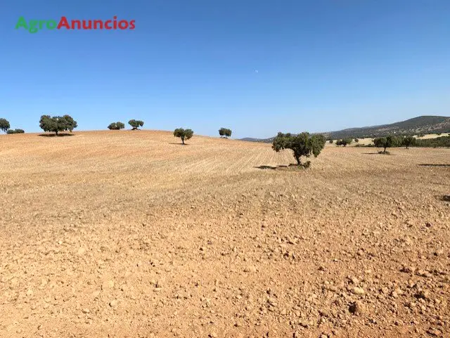 Venta  de Finca rústica en Badajoz