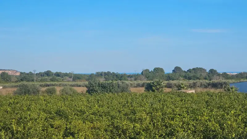 Finca con Casa Piscina y Paneles Solares en Benicarló