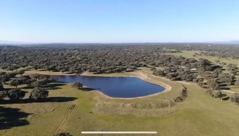 Finca Ganadera 290 Hectareas en Caceres