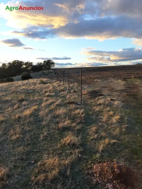 Demanda  de Finca ganadera en Ciudad Real