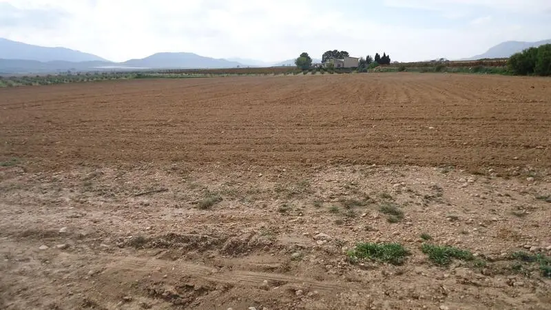 Parcela Rustica en Venta Yecla Murcia