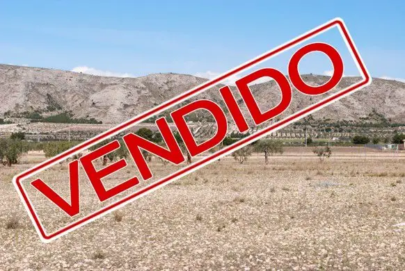 Venta Solar Villena RP1784