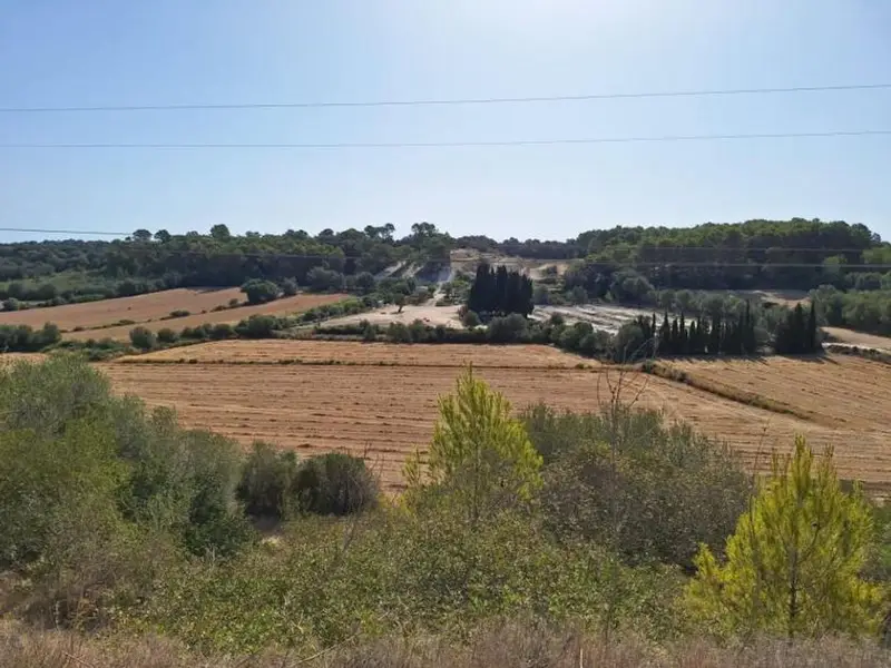 Venta Terreno 20000m2 Muro Baleares