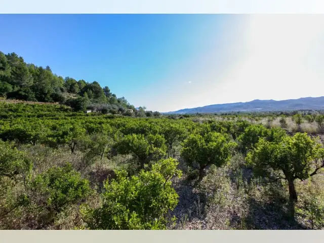 Terreno en Venta Sagra Alicante Vistas Espectaculares