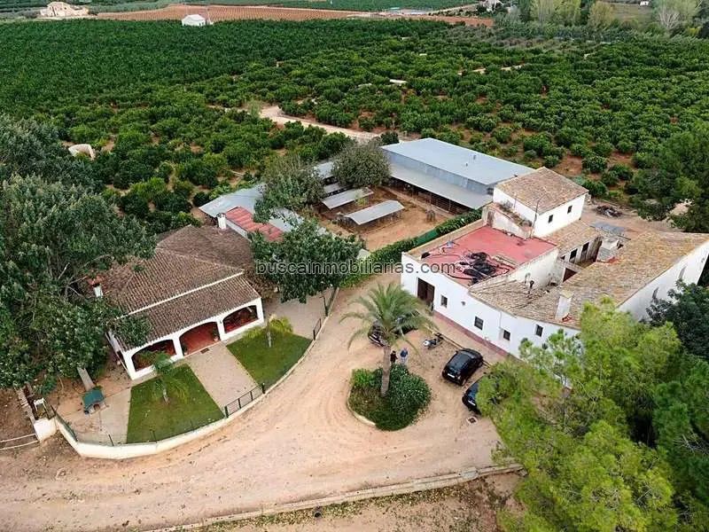 Finca Rustica en Venta cerca de Xativa 11 Hectareas
