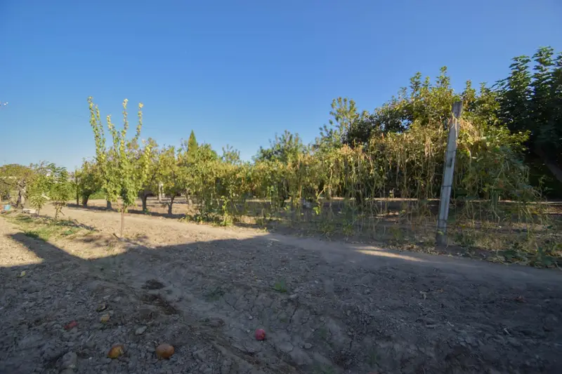 Venta Finca en Ctra. Pinos Puente, Atarfe - Ref: 498801855