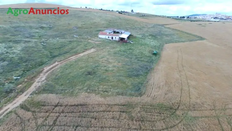 Venta  de Finca de pastos en Córdoba