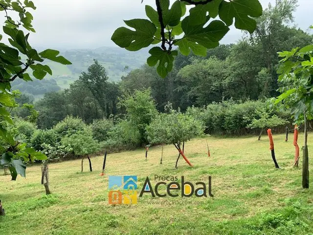 Venta Parcela Rustica Siero Asturias