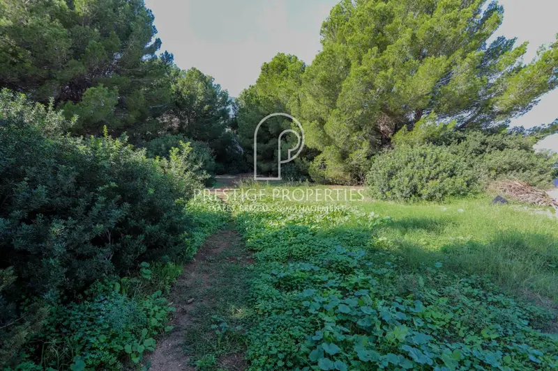 Terreno para 3 Villas de Lujo en Cala Martina Ibiza