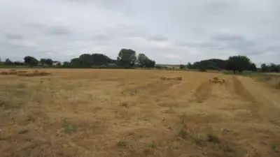 Finca Rustica en Venta Pasaje La Dehesita 56356m2