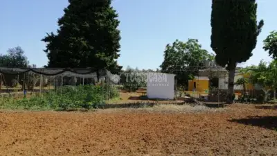 Casa Rustica en Venta Montilla