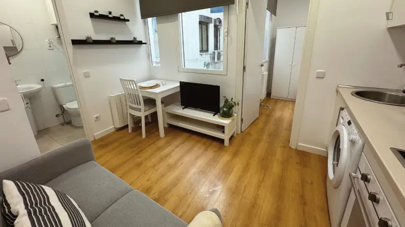 Apartamento 1 Dormitorio Estudiantes Madrid