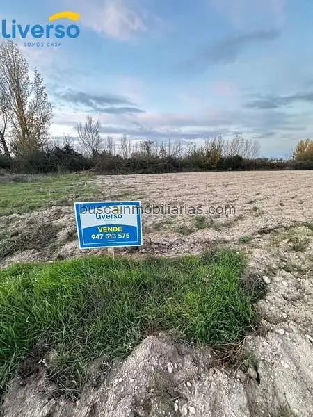 Parcelas Rusticas en Venta Aranda de Duero